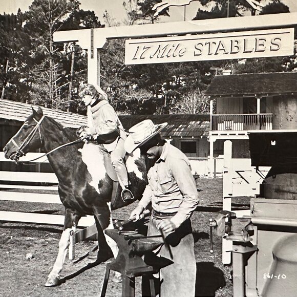 Vintage 1961 Susan Slade Movie Still Connie Stevens 17 Mile Stables Horse Photo - Picture 1 of 14